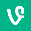 Vine Coin icon